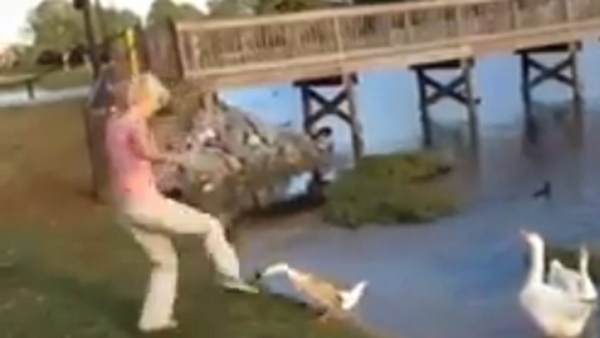 Filmklippet visar hur kvinnan dansar fram, provocerar och sparkar gåsen.  